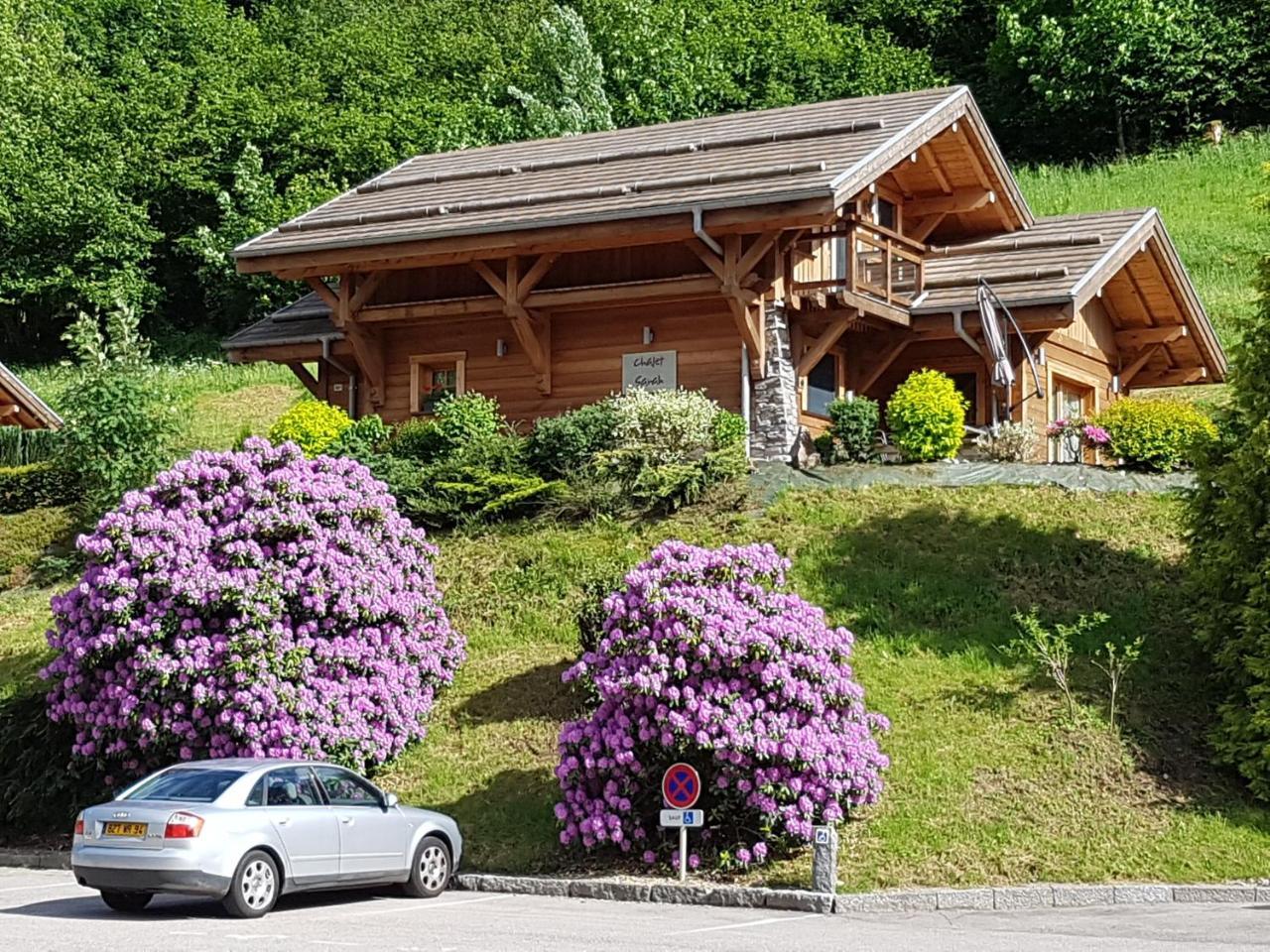 Les Chalets Des Chatelmines La Bresse Exteriör bild